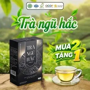 Trà Ngũ Hắc Túi Lọc Trà Trà Trí Tâm - Hắc Kỷ Tử, Đậu Đen, Mè Đen