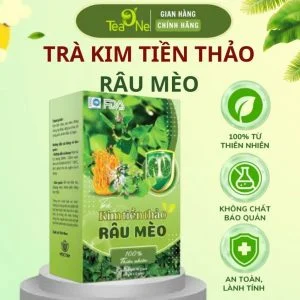 Trà Kim Tiền Thảo Râu Mèo Hộp 30 Túi Lọc