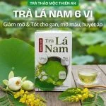 Trà Lá Nam 6 Vị Green Tea Hộp 30 Túi Lọc