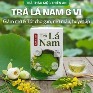 Trà Lá Nam 6 Vị Green Tea Hộp 30 Túi Lọc